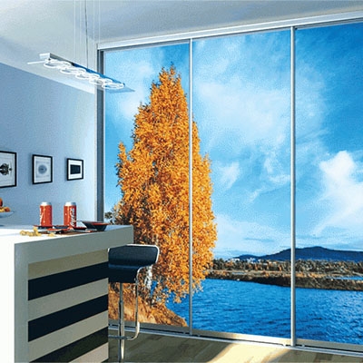 Шкафы-купе с фотопечатью