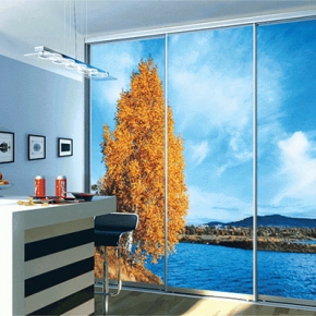 Шкафы-купе с фотопечатью