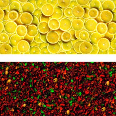 Дизайн панели